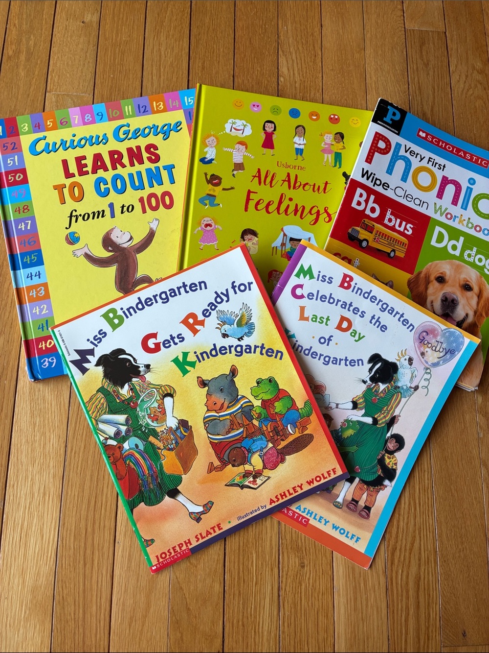 Kindergarten Readiness Bundle #5 (5 books)